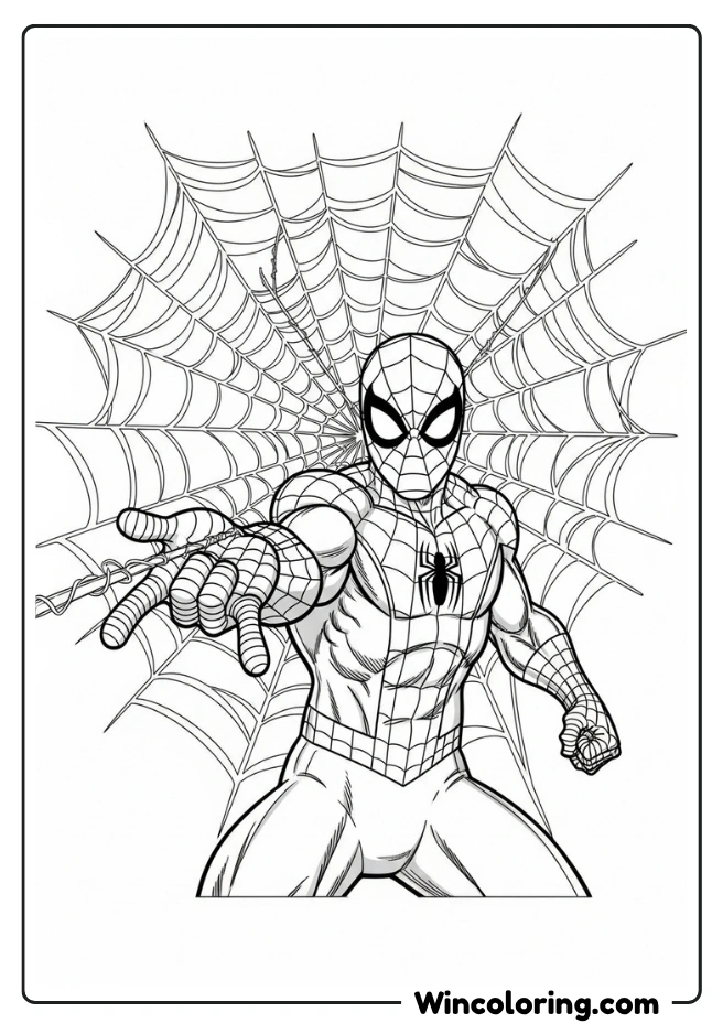 Spiderman and Web Pattern