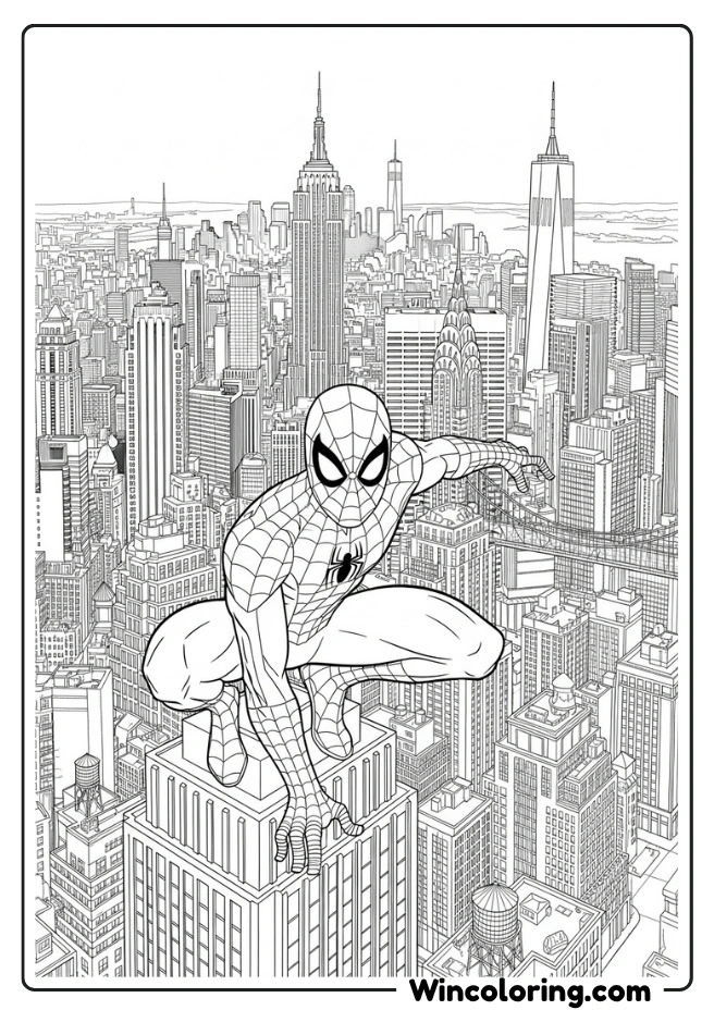 Spiderman with Cityscape