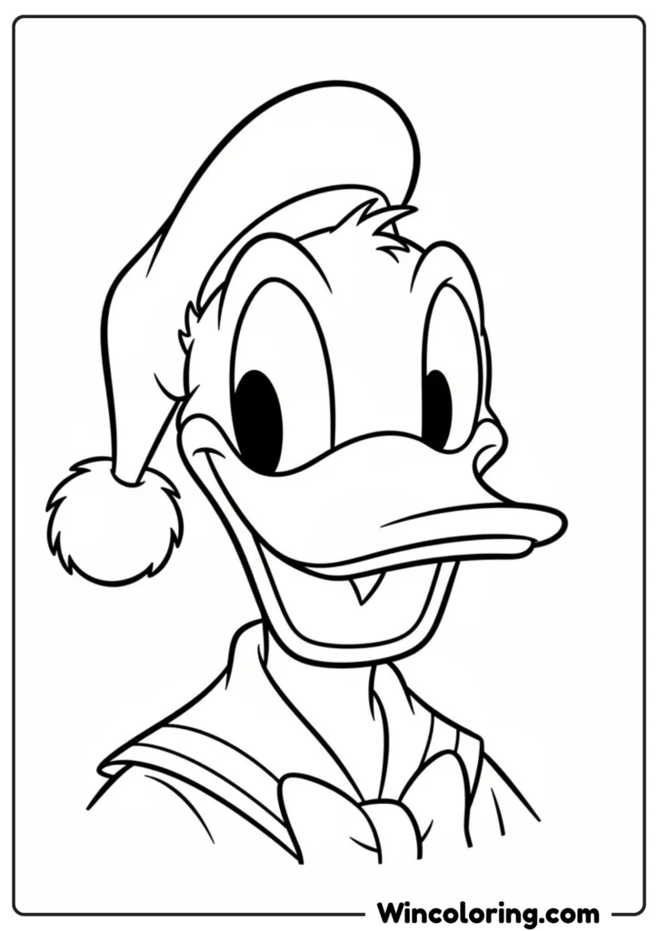 Donald Duck Christmas Hat