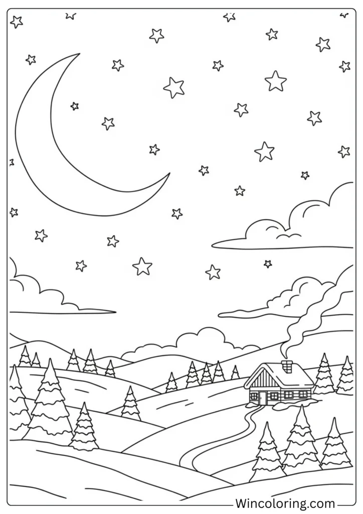 January Starry Night