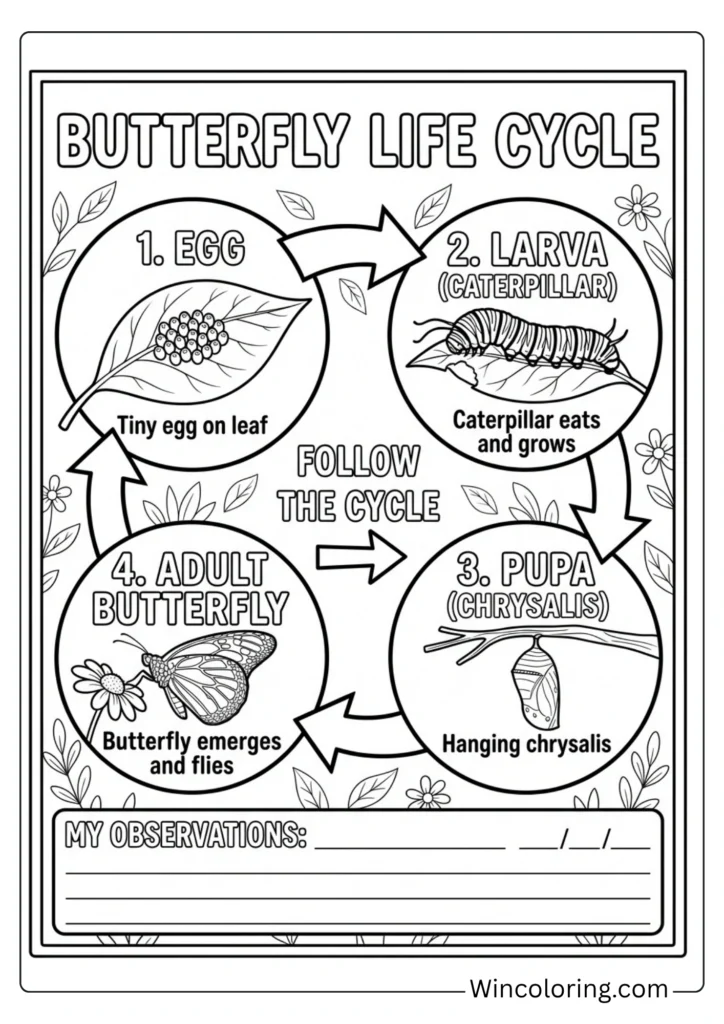 Life cycle circle diagram