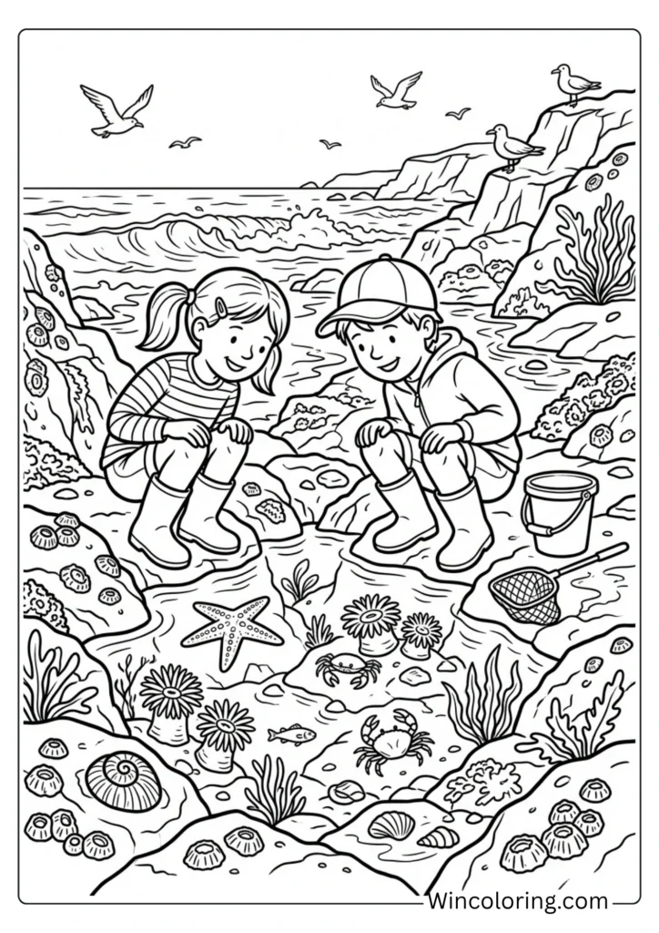 Tide pool exploration scene
